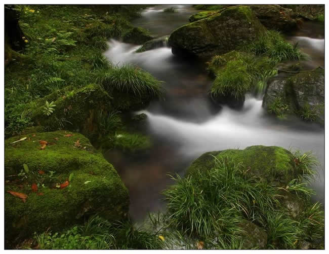 银奖  陈智《水之韵》组照