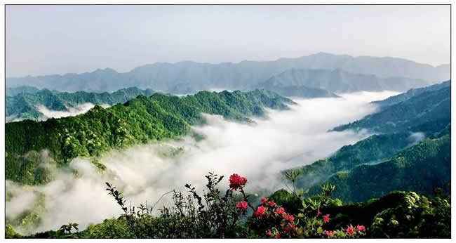 优秀奖  刘养正《山里红 》