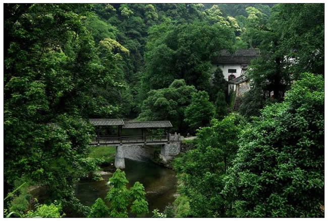 优秀奖  卢小华《大山美景》