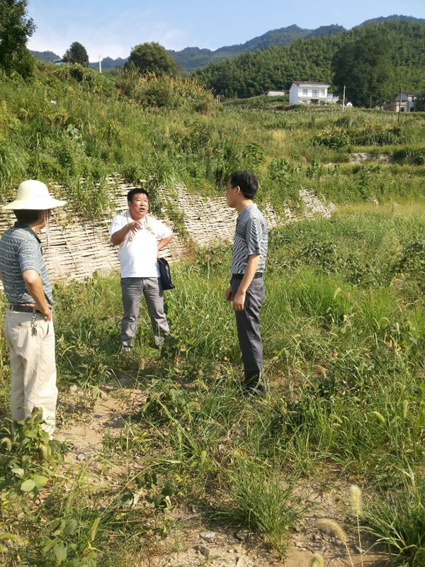 江龙云一行在莲花山基地视察旱情